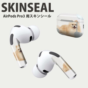 Air Pods Pro3 ��p �f�U�C���X�L���V�[�� �G�A�|�b�h AirPods Pro ��3���� �Ή� 2������ �C���z�� �J�o�[ �f�R���[�V���� �A�N�Z�T���[ �f�R�V�[�� ���i���Ĕ������V�[�g 002911 ���@�����@�ʐ^