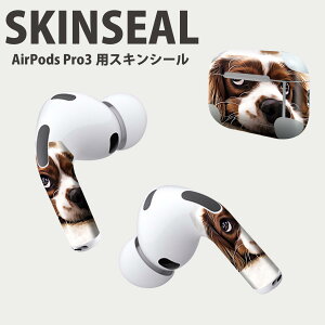 Air Pods Pro3 ��p �f�U�C���X�L���V�[�� �G�A�|�b�h AirPods Pro ��3���� �Ή� 2������ �C���z�� �J�o�[ �f�R���[�V���� �A�N�Z�T���[ �f�R�V�[�� ���i���Ĕ������V�[�g 022868 ���@�ʐ^