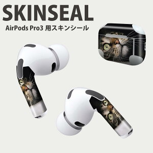 Air Pods Pro3 ��p �f�U�C���X�L���V�[�� �G�A�|�b�h AirPods Pro ��3���� �Ή� 2������ �C���z�� �J�o�[ �f�R���[�V���� �A�N�Z�T���[ �f�R�V�[�� ���i���Ĕ������V�[�g 023089 �L�@�˂��@�����@��