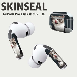 Air Pods Pro3 p fUCXLV[ GA|bh AirPods Pro 3 Ή 2 Cz Jo[ fR[V ANZT[ fRV[ iĔV[g 023096 L@˂@@