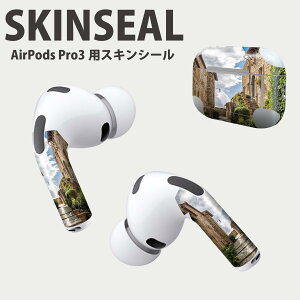 Air Pods Pro3 ��p �f�U�C���X�L���V�[�� �G�A�|�b�h AirPods Pro ��3���� �Ή� 2������ �C���z�� �J�o�[ �f�R���[�V���� �A�N�Z�T���[ �f�R�V�[�� ���i���Ĕ������V�[�g 025994 �����@���i