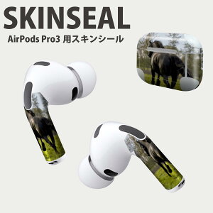 Air Pods Pro3 ��p �f�U�C���X�L���V�[�� �G�A�|�b�h AirPods Pro ��3���� �Ή� 2������ �C���z�� �J�o�[ �f�R���[�V���� �A�N�Z�T���[ �f�R�V�[�� ���i���Ĕ������V�[�g 026005 �n�@�����@��