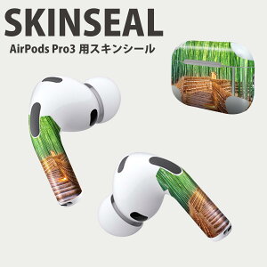 Air Pods Pro3 p fUCXLV[ GA|bh AirPods Pro 3 Ή 2 Cz Jo[ fR[V ANZT[ fRV[ iĔV[g 033570 | a