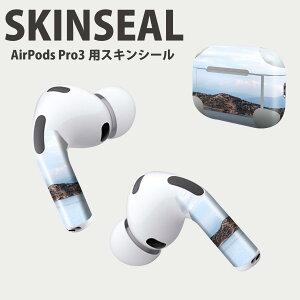 Air Pods Pro3 p fUCXLV[ GA|bh AirPods Pro 3 Ή 2 Cz Jo[ fR[V ANZT[ fRV[ iĔV[g 033707  C