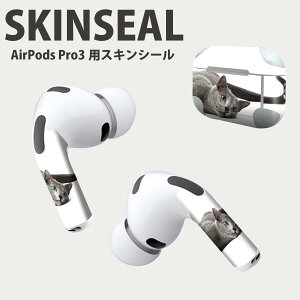 Air Pods Pro3 ��p �f�U�C���X�L���V�[�� �G�A�|�b�h AirPods Pro ��3���� �Ή� 2������ �C���z�� �J�o�[ �f�R���[�V���� �A�N�Z�T���[ �f�R�V�[�� ���i���Ĕ������V�[�g 005907 �ʐ^�@�����@�L�@��