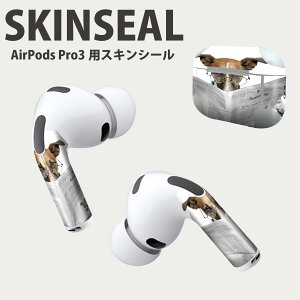 Air Pods Pro3 p fUCXLV[ GA|bh AirPods Pro 3 Ή 2 Cz Jo[ fR[V ANZT[ fRV[ iĔV[g 007706 ʐ^@@ʁ@V