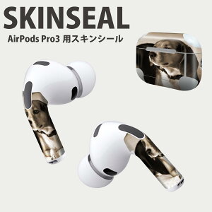 Air Pods Pro3 ��p �f�U�C���X�L���V�[�� �G�A�|�b�h AirPods Pro ��3���� �Ή� 2������ �C���z�� �J�o�[ �f�R���[�V���� �A�N�Z�T���[ �f�R�V�[�� ���i���Ĕ������V�[�g 008194 �ʐ^�@�Z�s�A�@��
