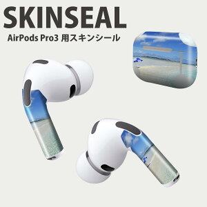 Air Pods Pro3 ��p �f�U�C���X�L���V�[�� �G�A�|�b�h AirPods Pro ��3���� �Ή� 2������ �C���z�� �J�o�[ �f�R���[�V���� �A�N�Z�T���[ �f�R�V�[�� ���i���Ĕ������V�[�g 011236 �C�@�r�[�`�@���]�[