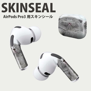 Air Pods Pro3 ��p �f�U�C���X�L���V�[�� �G�A�|�b�h AirPods Pro ��3���� �Ή� 2������ �C���z�� �J�o�[ �f�R���[�V���� �A�N�Z�T���[ �f�R�V�[�� ���i���Ĕ������V�[�g 011682 �L�@�����@�ʐ^