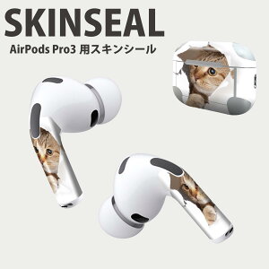 Air Pods Pro3 p fUCXLV[ GA|bh AirPods Pro 3 Ή 2 Cz Jo[ fR[V ANZT[ fRV[ iĔV[g 013566 L@ʐ^