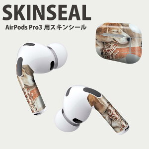 Air Pods Pro3 専用 デザインスキンシール エアポッド AirPods Pro 第3世代 対応 2枚入り イヤホン カバー デコレーション アクセサリー デコシール 高品質再剥離性シート 014838 犬 昼寝