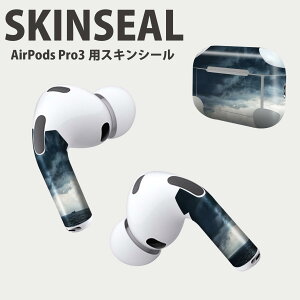 Air Pods Pro3 ��p �f�U�C���X�L���V�[�� �G�A�|�b�h AirPods Pro ��3���� �Ή� 2������ �C���z�� �J�o�[ �f�R���[�V���� �A�N�Z�T���[ �f�R�V�[�� ���i���Ĕ������V�[�g 018351 �C �_ �ʐ^