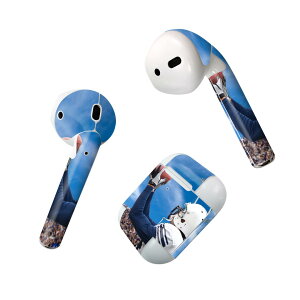 Air Pods ��p �f�U�C���X�L���V�[�� airpods �G�A�|�b�h apple �A�b�v�� AirPods ��ꐢ��i2016�jairpods2 ��񐢑�i2019�j�Ή� �C���z�� �J�o�[ �f�R���[�V���� �A�N�Z�T���[ �f�R�V�[�� 000031 ���O�r