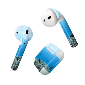 Air Pods p fUCXLV[ airpods GA|bh apple Abv AirPods ꐢi2016jairpods2 񐢑i2019jΉ Cz Jo[ fR[V ANZT[ fRV[ 000060 C@
