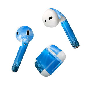Air Pods p fUCXLV[ airpods GA|bh apple Abv AirPods ꐢi2016jairpods2 񐢑i2019jΉ Cz Jo[ fR[V ANZT[ fRV[ 000071 C@