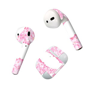 Air Pods p fUCXLV[ airpods GA|bh apple Abv AirPods ꐢi2016jairpods2 񐢑i2019jΉ Cz Jo[ fR[V ANZT[ fRV[ 000216 