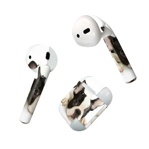 Air Pods p fUCXLV[ airpods GA|bh apple Abv AirPods ꐢi2016jairpods2 񐢑i2019jΉ Cz Jo[ fR[V ANZT[ fRV[ 000889 @t