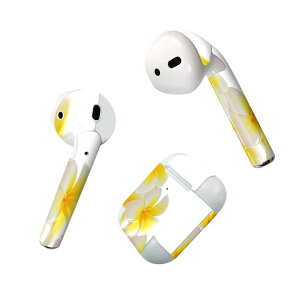 Air Pods p fUCXLV[ airpods GA|bh apple Abv AirPods ꐢi2016jairpods2 񐢑i2019jΉ Cz Jo[ fR[V ANZT[ fRV[ 001027 ԁ@v