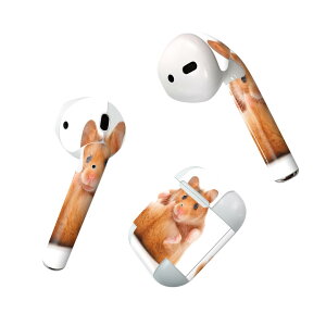 Air Pods p fUCXLV[ airpods GA|bh apple Abv AirPods ꐢi2016jairpods2 񐢑i2019jΉ Cz Jo[ fR[V ANZT[ fRV[ 001075 nX