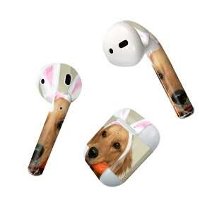 Air Pods ��p �f�U�C���X�L���V�[�� airpods �G�A�|�b�h apple �A�b�v�� AirPods ��ꐢ��i2016�jairpods2 ��񐢑�i2019�j�Ή� �C���z�� �J�o�[ �f�R���[�V���� �A�N�Z�T���[ �f�R�V�[�� 001111 ���@�S