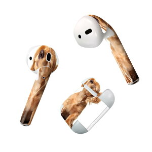 Air Pods p fUCXLV[ airpods GA|bh apple Abv AirPods ꐢi2016jairpods2 񐢑i2019jΉ Cz Jo[ fR[V ANZT[ fRV[ 001245 @_