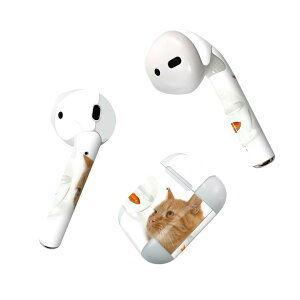 Air Pods p fUCXLV[ airpods GA|bh apple Abv AirPods ꐢi2016jairpods2 񐢑i2019jΉ Cz Jo[ fR[V ANZT[ fRV[ 002741 L@