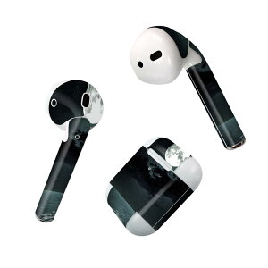 Air Pods p fUCXLV[ airpods GA|bh apple Abv AirPods ꐢi2016jairpods2 񐢑i2019jΉ Cz Jo[ fR[V ANZT[ fRV[ 003304 N[ 