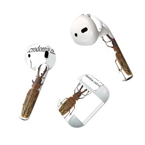Air Pods ��p �f�U�C���X�L���V�[�� airpods �G�A�|�b�h apple �A�b�v�� AirPods ��ꐢ��i2016�jairpods2 ��񐢑�i2019�j�Ή� �C���z�� �J�o�[ �f�R���[�V���� �A�N�Z�T���[ �f�R�V�[�� 020004 �� long ho