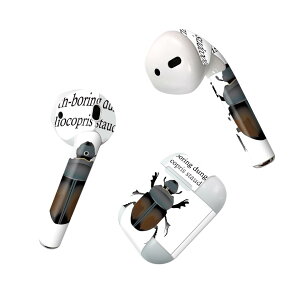 Air Pods ��p �f�U�C���X�L���V�[�� airpods �G�A�|�b�h apple �A�b�v�� AirPods ��ꐢ��i2016�jairpods2 ��񐢑�i2019�j�Ή� �C���z�� �J�o�[ �f�R���[�V���� �A�N�Z�T���[ �f�R�V�[�� 020025 �� �� Dun