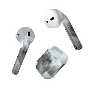 Air Pods p fUCXLV[ airpods GA|bh apple Abv AirPods ꐢi2016jairpods2 񐢑i2019jΉ Cz Jo[ fR[V ANZT[ fRV[ 022860 L@