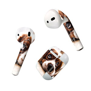 Air Pods p fUCXLV[ airpods GA|bh apple Abv AirPods ꐢi2016jairpods2 񐢑i2019jΉ Cz Jo[ fR[V ANZT[ fRV[ 022868 @