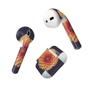 Air Pods ��p �f�U�C���X�L���V�[�� airpods �G�A�|�b�h apple �A�b�v�� AirPods ��ꐢ��i2016�jairpods2 ��񐢑�i2019�j�Ή� �C���z�� �J�o�[ �f�R���[�V���� �A�N�Z�T���[ �f�R�V�[�� 022891 �ԁ@��