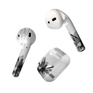 Air Pods p fUCXLV[ airpods GA|bh apple Abv AirPods ꐢi2016jairpods2 񐢑i2019jΉ Cz Jo[ fR[V ANZT[ fRV[ 022898 ʐ^@