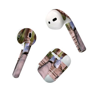 Air Pods p fUCXLV[ airpods GA|bh apple Abv AirPods ꐢi2016jairpods2 񐢑i2019jΉ Cz Jo[ fR[V ANZT[ fRV[ 022939 l@
