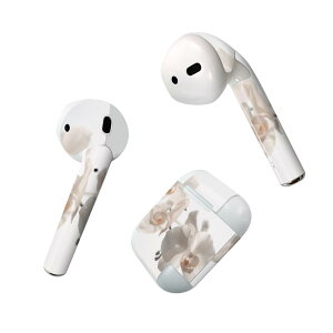 Air Pods p fUCXLV[ airpods GA|bh apple Abv AirPods ꐢi2016jairpods2 񐢑i2019jΉ Cz Jo[ fR[V ANZT[ fRV[ 022963 ԁ@