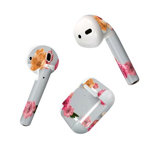 Air Pods p fUCXLV[ airpods GA|bh apple Abv AirPods ꐢi2016jairpods2 񐢑i2019jΉ Cz Jo[ fR[V ANZT[ fRV[ 023011 ԁ@C