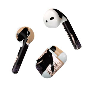 Air Pods p fUCXLV[ airpods GA|bh apple Abv AirPods ꐢi2016jairpods2 񐢑i2019jΉ Cz Jo[ fR[V ANZT[ fRV[ 023012 l@