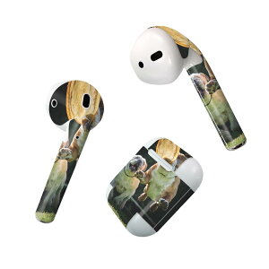 Air Pods p fUCXLV[ airpods GA|bh apple Abv AirPods ꐢi2016jairpods2 񐢑i2019jΉ Cz Jo[ fR[V ANZT[ fRV[ 023041 @