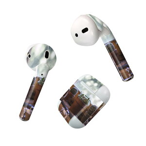 Air Pods p fUCXLV[ airpods GA|bh apple Abv AirPods ꐢi2016jairpods2 񐢑i2019jΉ Cz Jo[ fR[V ANZT[ fRV[ 023053 T{e