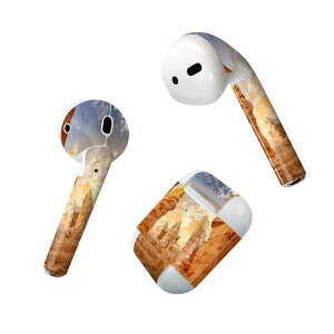 Air Pods p fUCXLV[ airpods GA|bh apple Abv AirPods ꐢi2016jairpods2 񐢑i2019jΉ Cz Jo[ fR[V ANZT[ fRV[ 023068 @