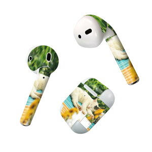 Air Pods p fUCXLV[ airpods GA|bh apple Abv AirPods ꐢi2016jairpods2 񐢑i2019jΉ Cz Jo[ fR[V ANZT[ fRV[ 023095 L@