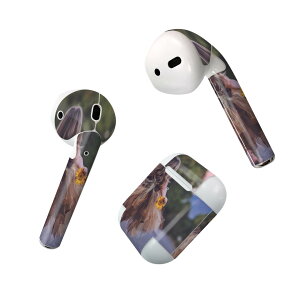 Air Pods p fUCXLV[ airpods GA|bh apple Abv AirPods ꐢi2016jairpods2 񐢑i2019jΉ Cz Jo[ fR[V ANZT[ fRV[ 023111 l@