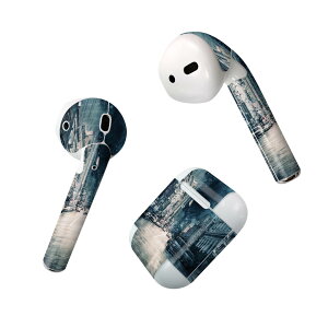 Air Pods ��p �f�U�C���X�L���V�[�� airpods �G�A�|�b�h apple �A�b�v�� AirPods ��ꐢ��i2016�jairpods2 ��񐢑�i2019�j�Ή� �C���z�� �J�o�[ �f�R���[�V���� �A�N�Z�T���[ �f�R�V�[�� 023118 �s�s�@