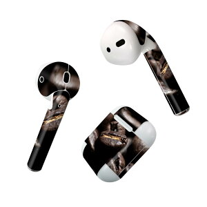 Air Pods ��p �f�U�C���X�L���V�[�� airpods �G�A�|�b�h apple �A�b�v�� AirPods ��ꐢ��i2016�jairpods2 ��񐢑�i2019�j�Ή� �C���z�� �J�o�[ �f�R���[�V���� �A�N�Z�T���[ �f�R�V�[�� 023147 �R�[�q