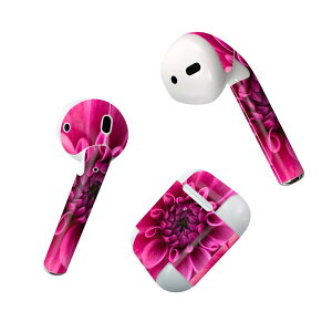 Air Pods p fUCXLV[ airpods GA|bh apple Abv AirPods ꐢi2016jairpods2 񐢑i2019jΉ Cz Jo[ fR[V ANZT[ fRV[ 023184 ԁ@t
