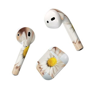 Air Pods p fUCXLV[ airpods GA|bh apple Abv AirPods ꐢi2016jairpods2 񐢑i2019jΉ Cz Jo[ fR[V ANZT[ fRV[ 023187 ԁ@t