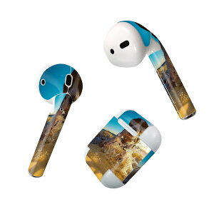 Air Pods p fUCXLV[ airpods GA|bh apple Abv AirPods ꐢi2016jairpods2 񐢑i2019jΉ Cz Jo[ fR[V ANZT[ fRV[ 023217 @T