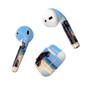 Air Pods p fUCXLV[ airpods GA|bh apple Abv AirPods ꐢi2016jairpods2 񐢑i2019jΉ Cz Jo[ fR[V ANZT[ fRV[ 023219 @C