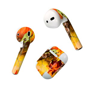 Air Pods p fUCXLV[ airpods GA|bh apple Abv AirPods ꐢi2016jairpods2 񐢑i2019jΉ Cz Jo[ fR[V ANZT[ fRV[ 023260 t