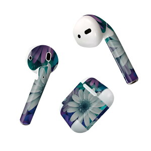 Air Pods p fUCXLV[ airpods GA|bh apple Abv AirPods ꐢi2016jairpods2 񐢑i2019jΉ Cz Jo[ fR[V ANZT[ fRV[ 023291 ԁ@t